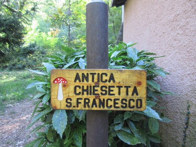 Sentiero funghi (39)